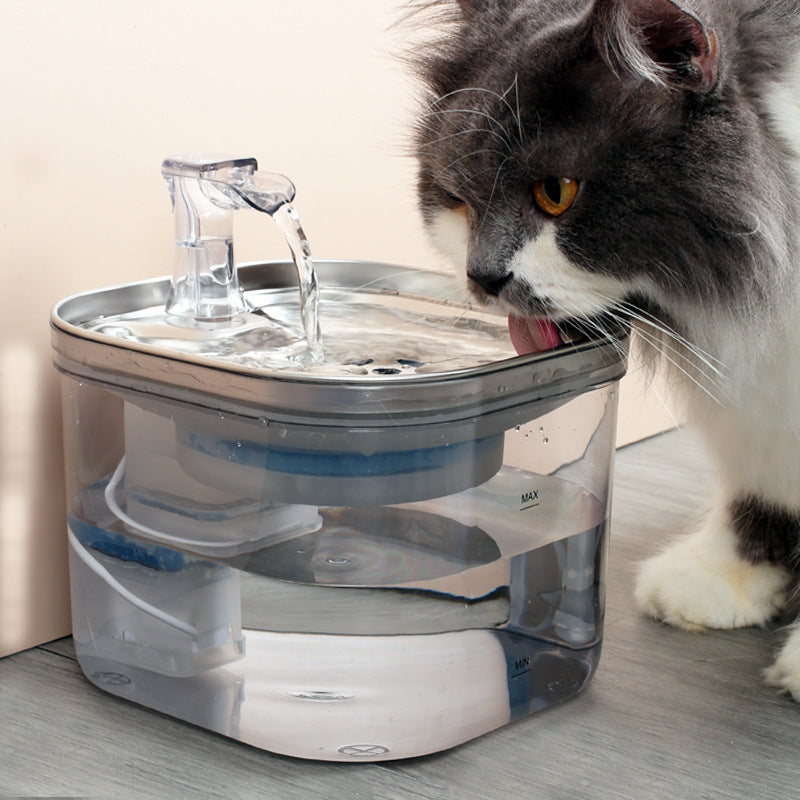 AquaPaws Fountain