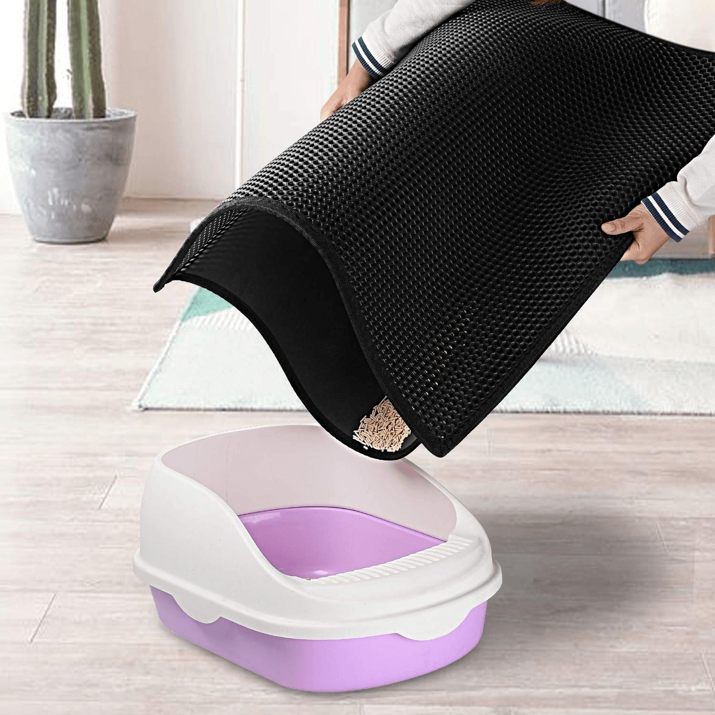 Kitty Cat Litter Mat Trapping