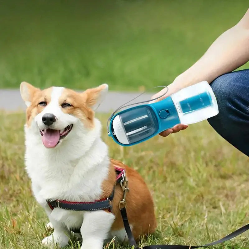 Dog Water Cup Drinking Food