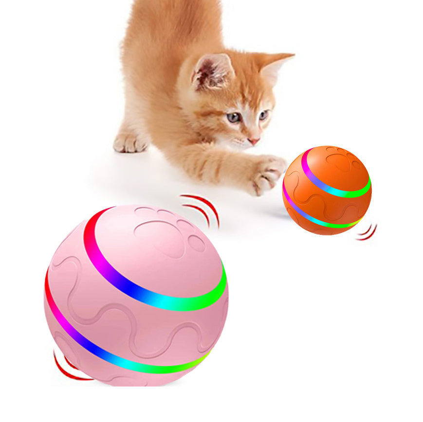 PawSpin