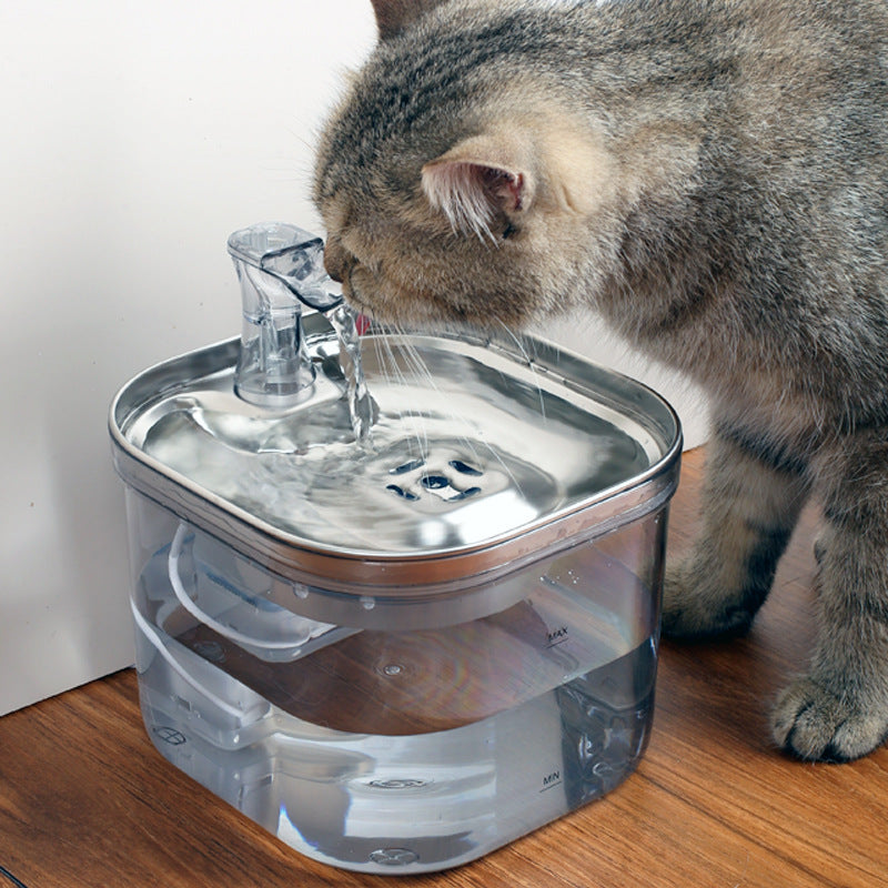 AquaPaws Fountain