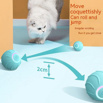Smart Cat Toys