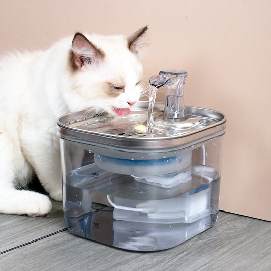 AquaPaws Fountain