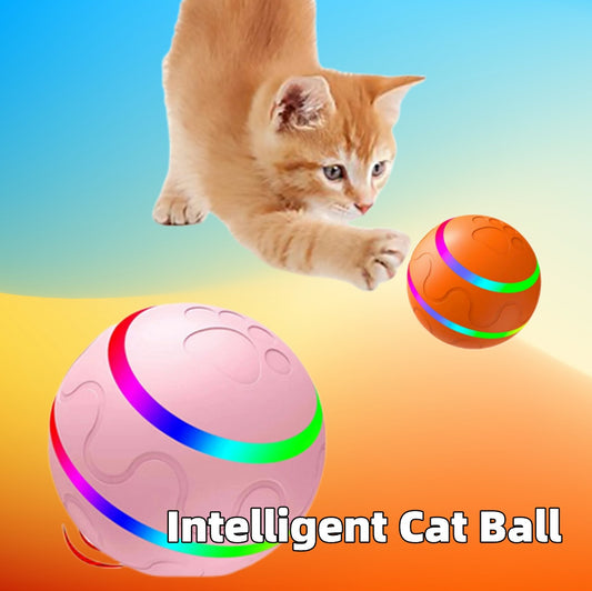 PawSpin